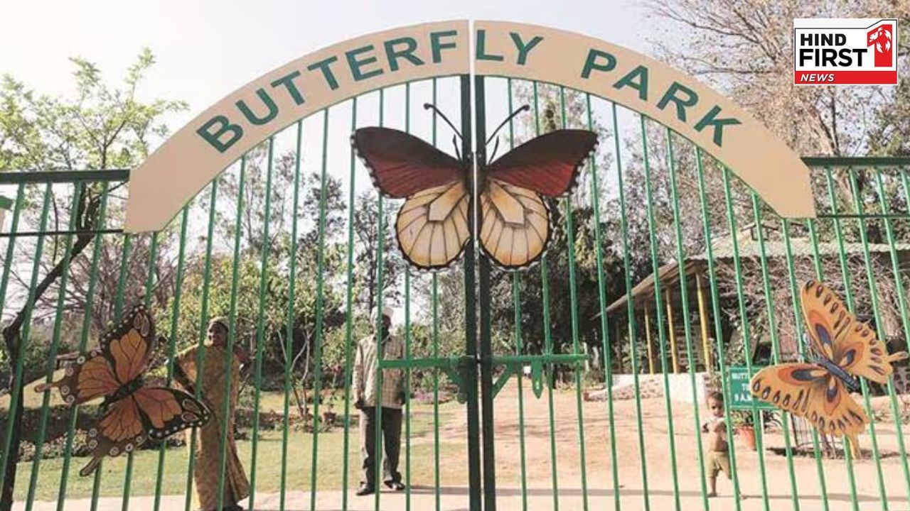 Butterfly Parks in India: ये हैं भारत के पांच सबसे खूबसूरत बटरफ्लाई पार्क, एक बार जरूर घूमें