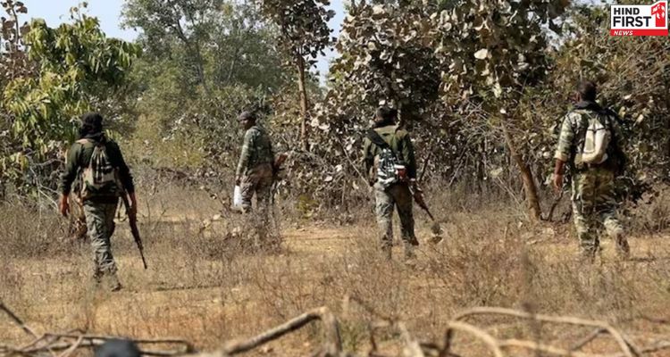 महाराष्ट्र: गढ़चिरौली में सुरक्षाबलों-नक्सलियों के बीच मुठभेड, अब तक 5 नक्सली ढेर