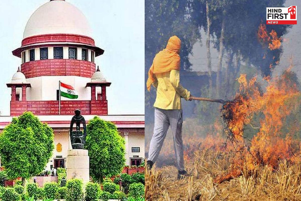 पराली मामला: सुप्रीम कोर्ट की पंजाब-हरियाणा को फटकार, पूछा-कार्रवाई क्यों नहीं की गई
