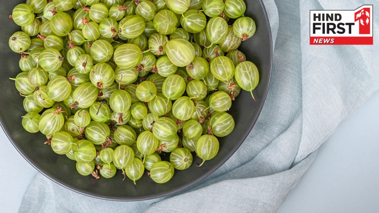 रोजाना आंवला-मोरिंगा शॉट पीने से आपको मिलेंगे ये जबरदस्त फायदे, सेहत में होंगे ये बदलाव रोजाना आंवला-मोरिंगा शॉट पीने से आपको मिलेंगे ये जबरदस्त फायदे, सेहत में होंगे ये बदलाव