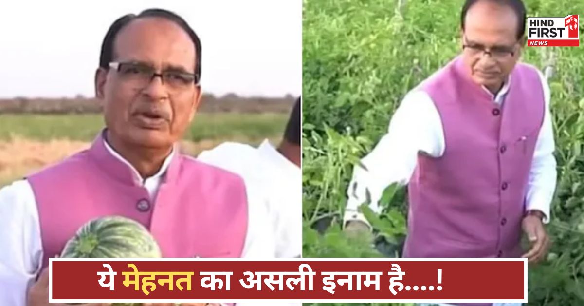 इतने बड़े और चमकीले कद्दू देख शिवराज बोले- खेत में मेहनत कभी धोखा नहीं देती इतने बड़े और चमकीले कद्दू देख शिवराज बोले- खेत में मेहनत कभी धोखा नहीं देती