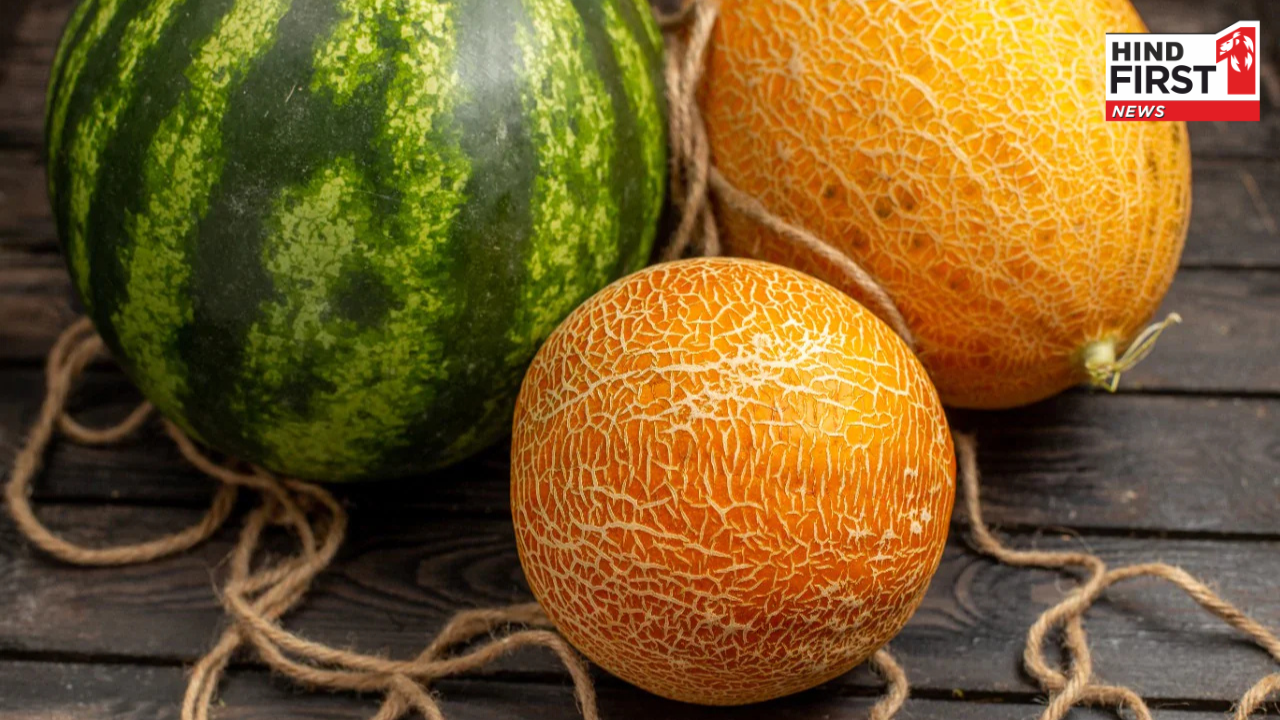 गर्मियों में खरबूज या तरबूज, क्या है ज्यादा फायदेमंद? जानिए विस्तार से गर्मियों में खरबूज या तरबूज, क्या है ज्यादा फायदेमंद? जानिए विस्तार से