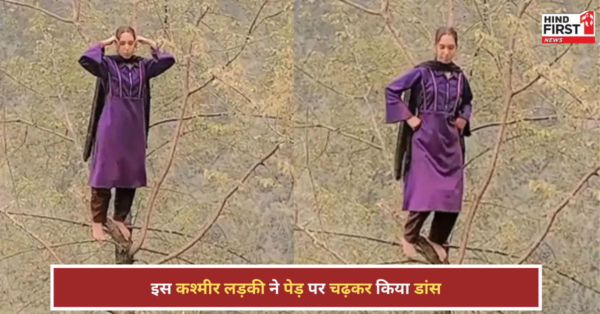 कश्मीर की लड़की ने पेड़ पर चढ़कर किया डांस, लोग बोले- ये तो चुड़ैल वाली वाइब दे रही! कश्मीर की लड़की ने पेड़ पर चढ़कर किया डांस, लोग बोले- ये तो चुड़ैल वाली वाइब दे रही!