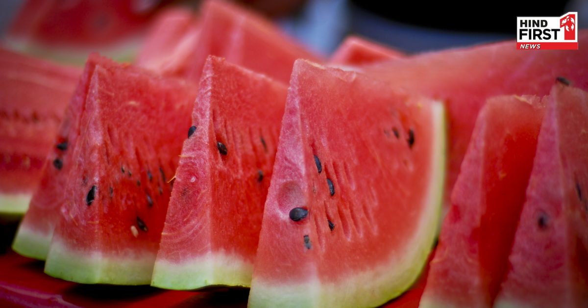 जानिए क्या है तरबूज खाने का सही समय खाने से पहले या बाद में किस समय खाना चाहिए...