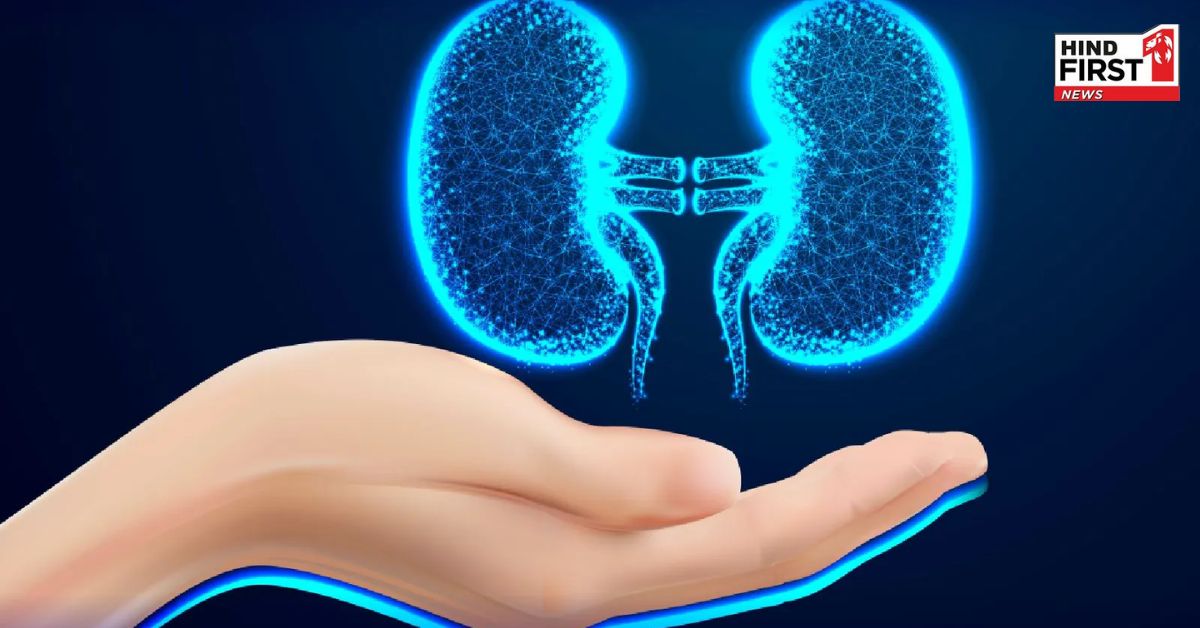 अगर आप भी अपनी किडनी को रखना चाहते हैं हेल्दी, तो आज ही अपने रूटीन में शामिल करें ये आदतें