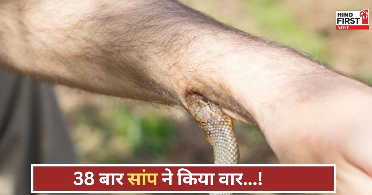 38 बार सांप ने काटा, मिला 1.52 करोड़, जानिए क्या है इस चौंकाने वाले मामले की पूरी सच्चाई
