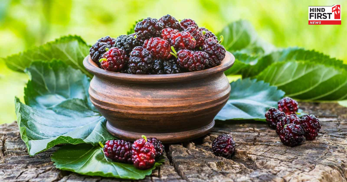 गुणों का खजाना है शहतूत, गर्मियों में खाने से मिलते हैं ढेर सारे फायदे