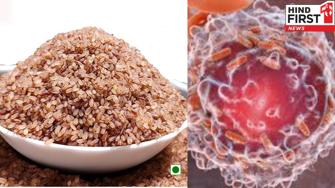 सावधान! ब्राउन राइस का ज्यादा सेवन बढ़ा सकता है कैंसर का खतरा