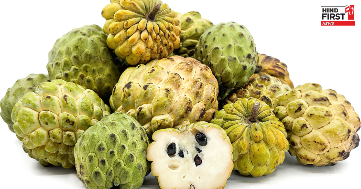 सेहत के लिए बेहद फायदेमंद होता है सीताफल, बीपी से लेकर एनीमिया तक की समस्याओं से दिलाए आराम