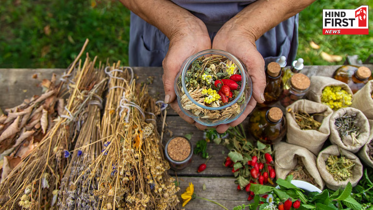 National Herbs and Spices Day: आज मनाया जाता है ये दिन, जानें इसका इतिहास और महत्व National Herbs and Spices Day: आज मनाया जाता है ये दिन, जानें इसका इतिहास और महत्व