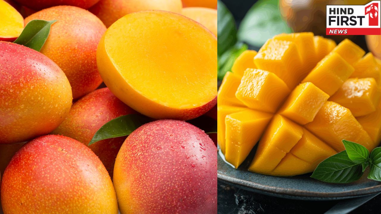 गर्मियों में आम पाचन के लिए है रामबाण, इन पांच तरीकों से बढ़ाता है डाइजेशन