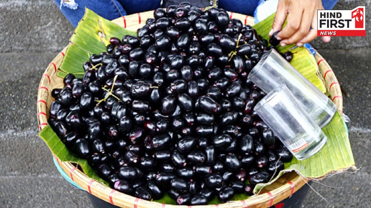 जामुन है गर्मियों का सुपरफ्रूट, शुगर को कंट्रोल कर स्किन को बनाता है चमकदार