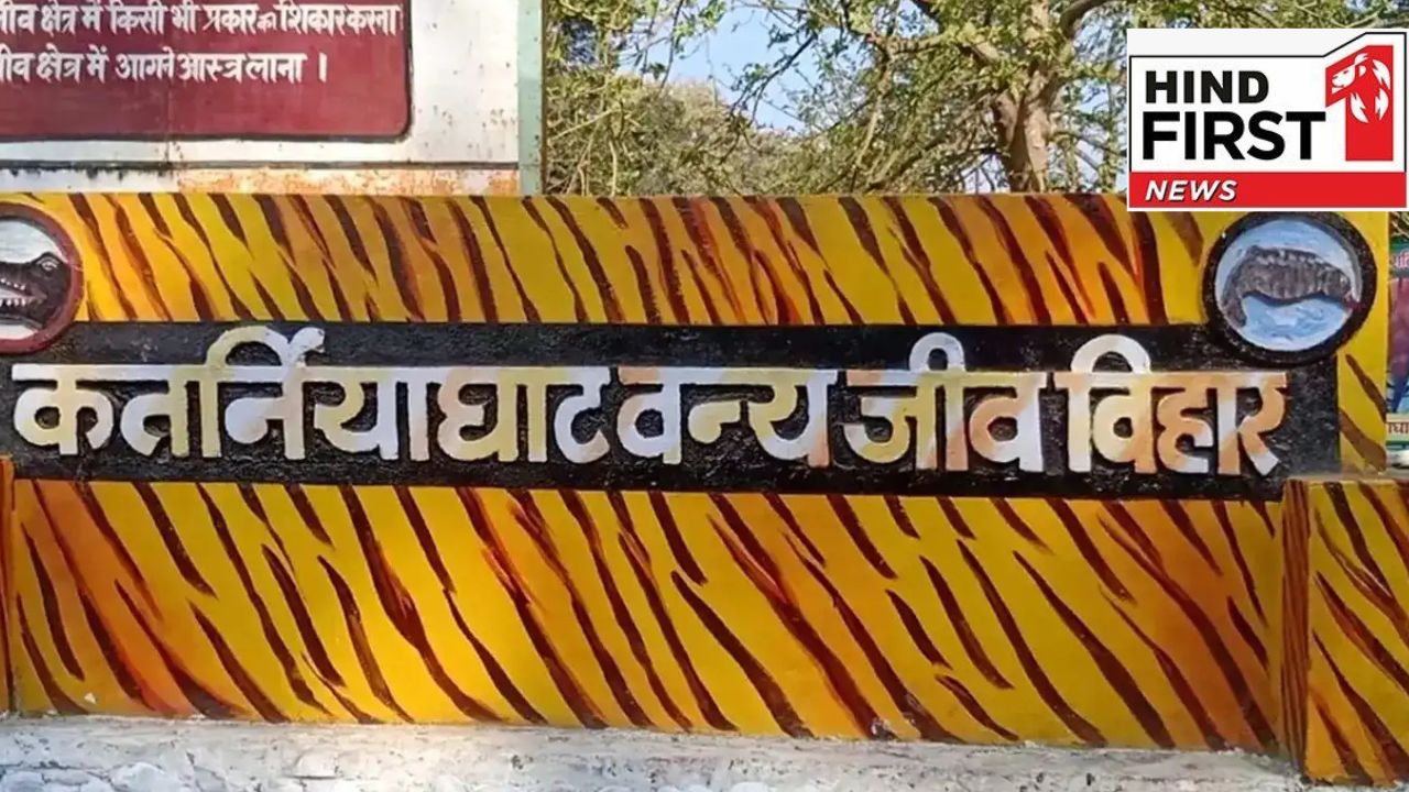 Katarniya Ghat: रोमांचक ट्रिप के लिए बेस्ट है कतर्नियाघाट, यहां दिखेंगे डोल्फिन से लेकर बंगाल टाइगर तक