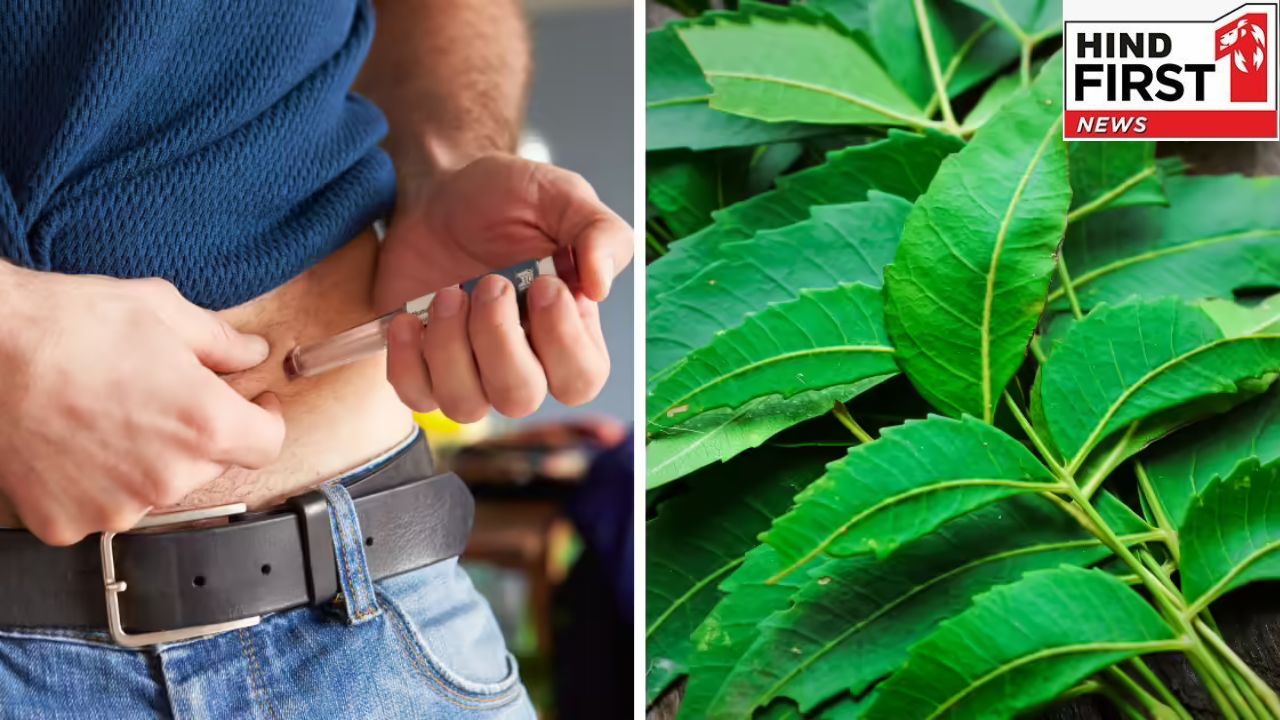 Neem Benefits: सुबह खाली पेट नीम की पत्ती चबाने से कंट्रोल में रहता है शुगर, और भी फायदे