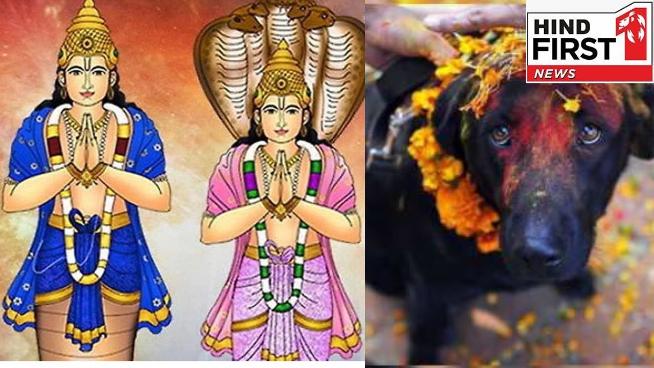 Astro Tips: राहु - केतु की दशा सुधारने में कुत्तों की भूमिका क्यों है ख़ास? जानिए इसका आध्यमिक कारण