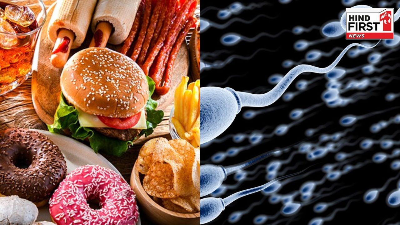 Fried Food Side Effects: आप भी खाते हैं फ्राइड फ़ूड तो हो जाएं सतर्क, स्पर्म क्वालिटी में आ सकती है कमी