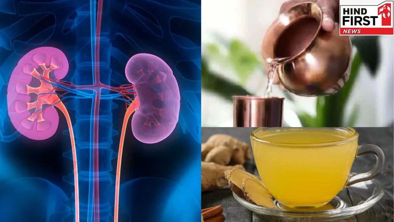 Natural Kidney Cleansers: ये हैं पांच प्राकृतिक किडनी क्लीन्ज़र, करें डाइट में शामिल