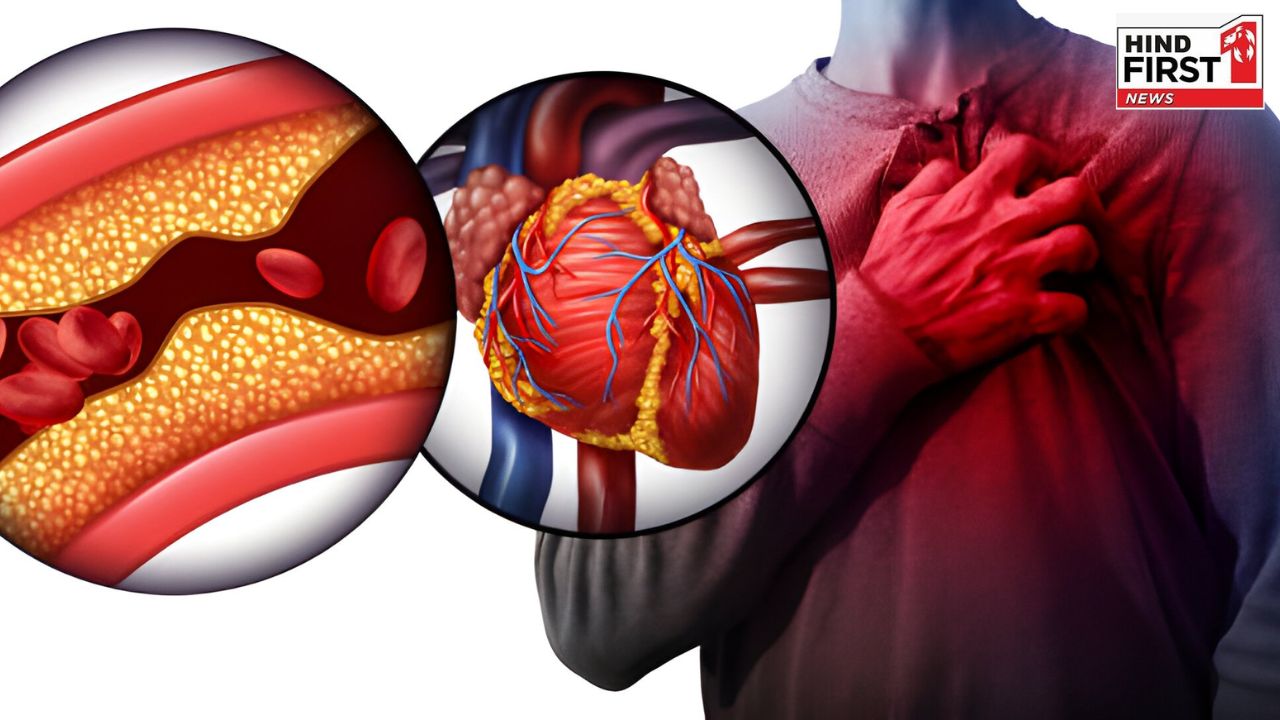 Healthy Heart: लाइफस्टाइल में ये पांच परिवर्तन करेंगे आपके हार्ट ब्लॉकेज को नैचुरली कम