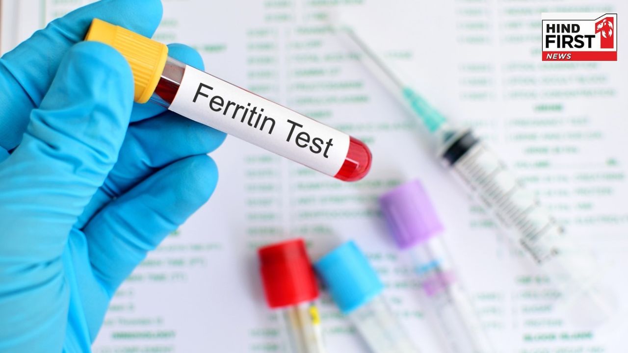 Ferritin Test: क्या होता है फेरिटिन टेस्ट, क्यों महिलाओं के लिए है ये जरुरी? जानिए सबकुछ Ferritin Test: क्या होता है फेरिटिन टेस्ट, क्यों महिलाओं के लिए है ये जरुरी? जानिए सबकुछ