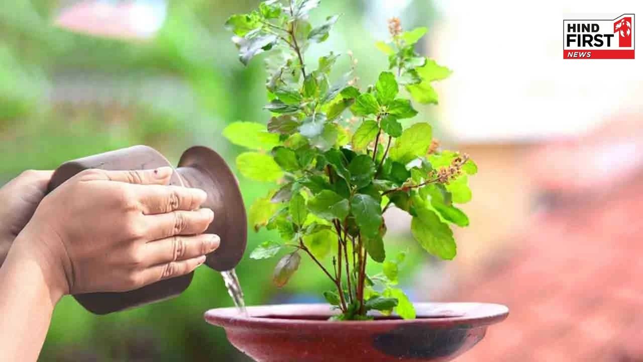 Pitru Paksha 2025 Plants: पितृ पक्ष में लगायें ये पौधे, मिलेगा पितरों का आशीर्वाद