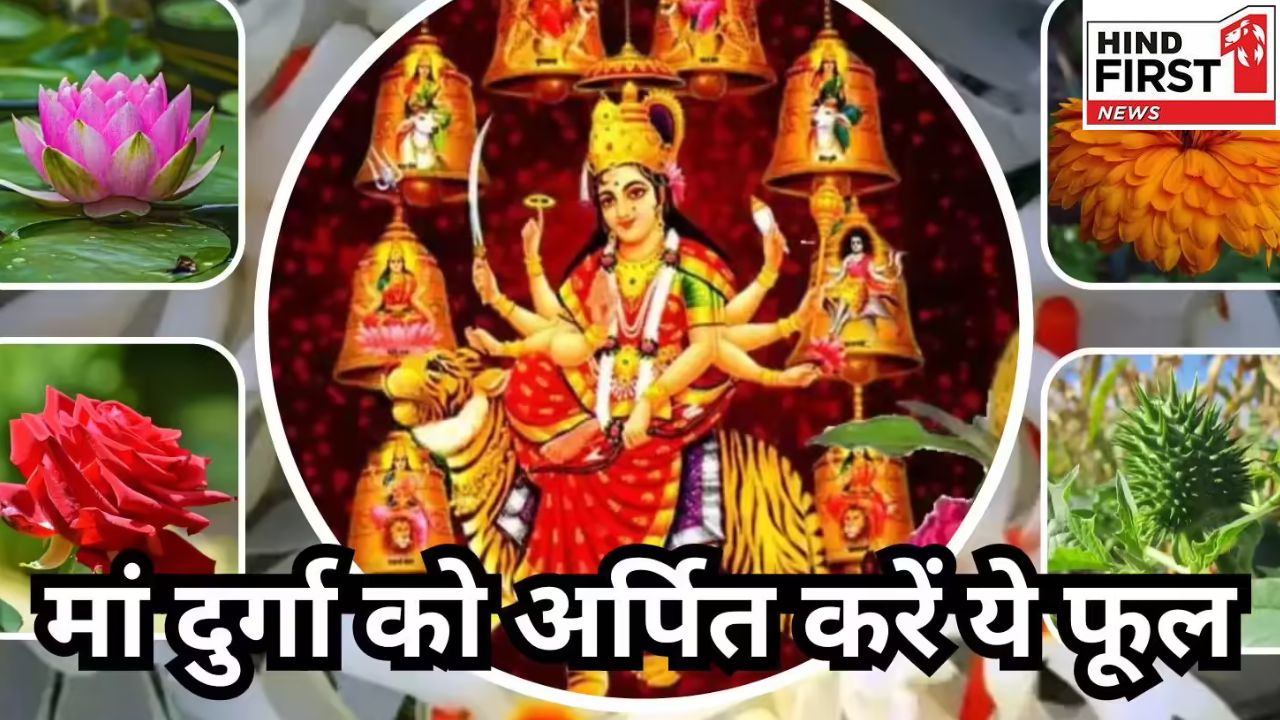 Shardiya Navratri 2025 Flowers: नवरात्रि के नौ दिन, नौ देवियों को चढ़ाएं ये नौ फूल, माता होंगी प्रसन्न