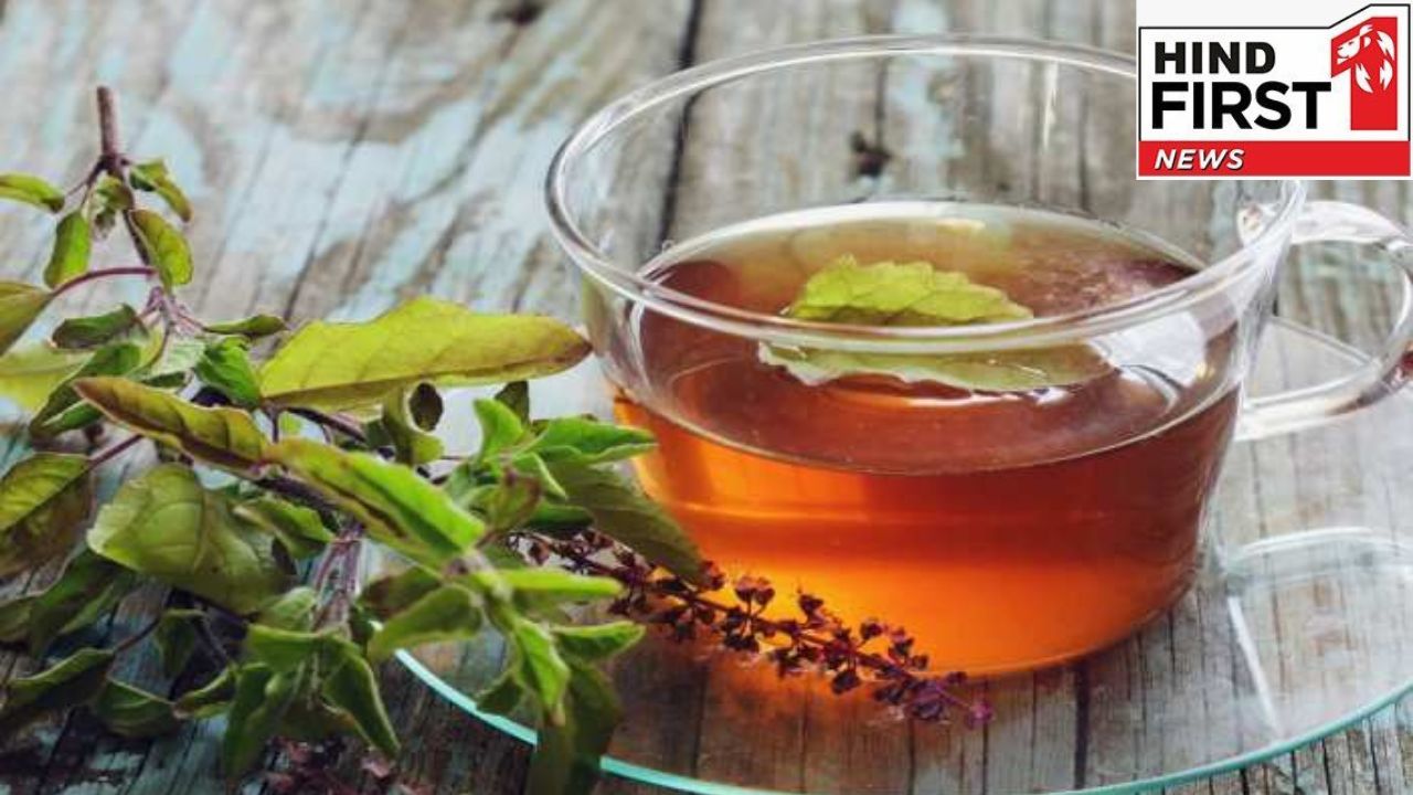 Tulsi Benefits: रोजाना खाली पेट पीजिये तुलसी की चाय हमेशा रहेंगे स्ट्रेस फ्री