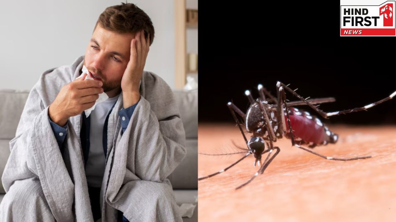 Dengue Precaution: बारिश में डेंगू के बढ़ते खतरे के बीच जरूर बरतें ये सावधानियां
