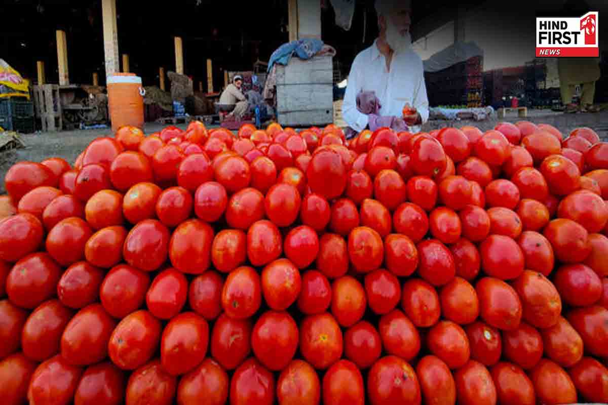 पाकिस्तान में लोगों का हाल-बेहाल, टमाटर की कीमत पहुंची 600 रुपए किलो...