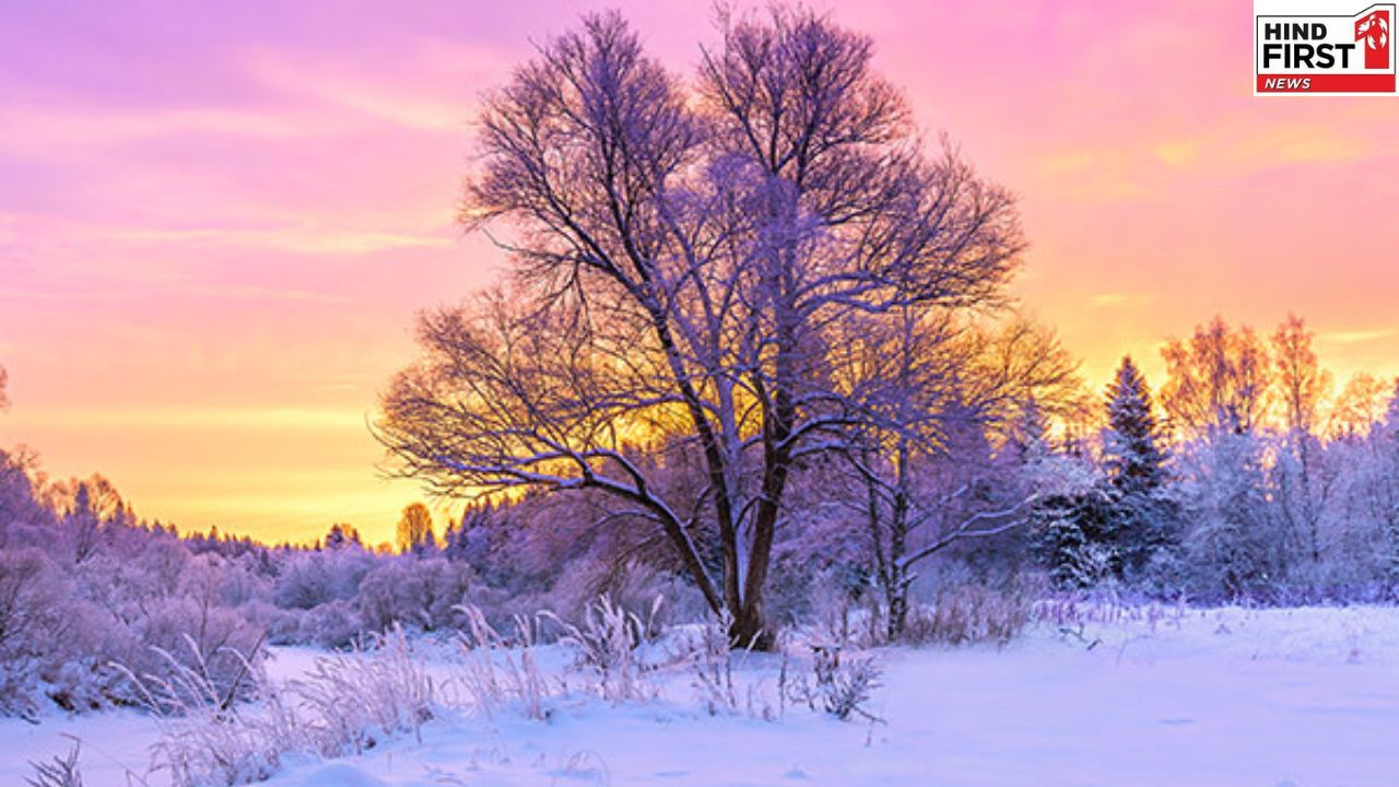 Winter Destinations: इस नवंबर भारत में घूमने लायक 5 शीतकालीन स्थान, आप भी जानें