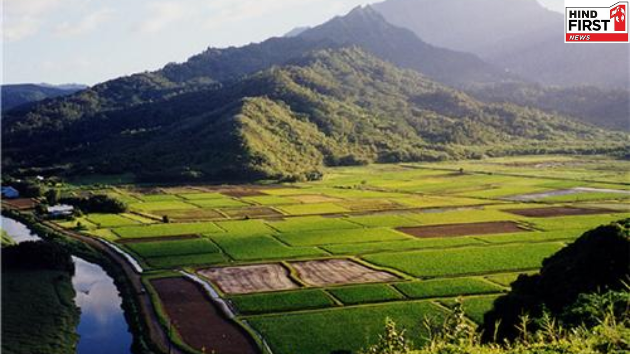 भारत का यह शहर बना टूरिस्टों की पहली पसंद; बर्लिन, फुकेत भी रह गए पीछे