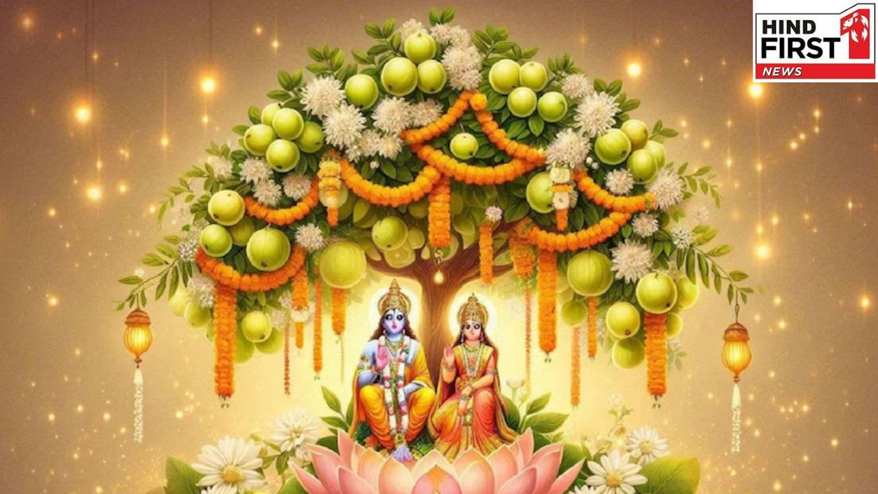 Amla Navmi 2025: इस दिन है आवंला नवमी, जरूर करें ये काम बनी रहेगी समृद्धि