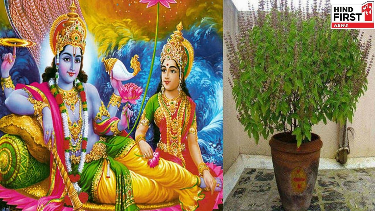 November Vrat Tyohar List: देव उठनी एकादशी से देव दीपवाली तक, देखें व्रत त्योहारों की लिस्ट