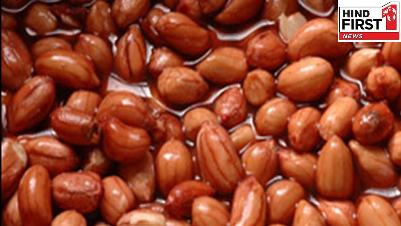 Soaked Peanuts Benefits: रोज़ाना सुबह भीगी हुई मूंगफली खाने से होते हैं ये अदभुत 5 फायदें