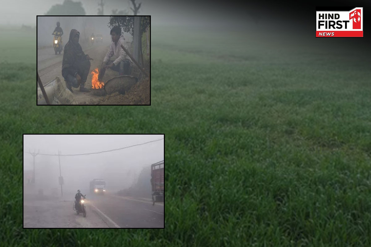 Today Weather Report: सर्दी का सितम जारी!, कई इलाकों में छाया कोहरा