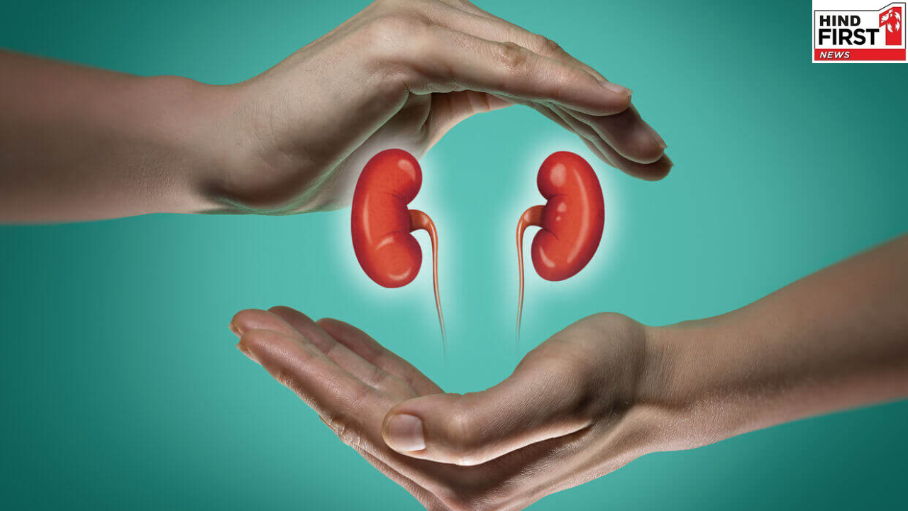 Kidney Health: ये 5 फ़ूड जो आपकी किडनी से टॉक्सिन्स को करते हैं दूर