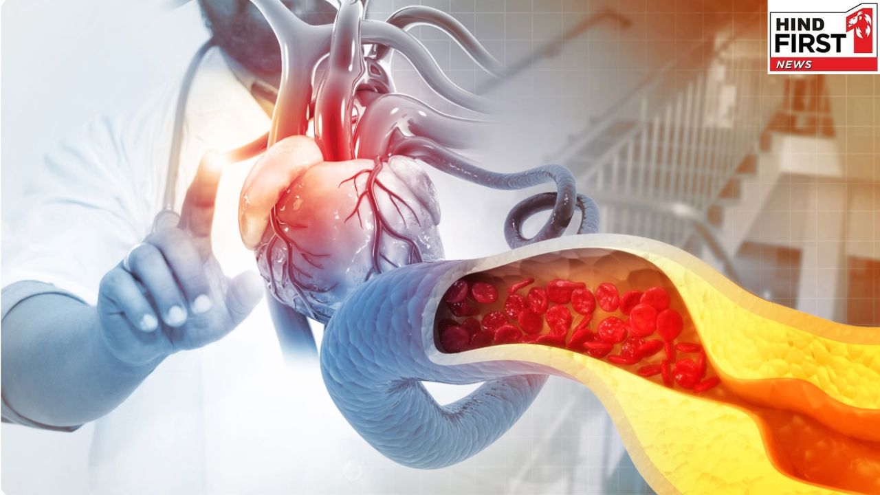 Smog आपके फेफड़ों, दिल और इम्यूनिटी को पहुंचा रहा है नुकसान, जानें इसके संकेतों को! Smog आपके फेफड़ों, दिल और इम्यूनिटी को पहुंचा रहा है नुकसान, जानें इसके संकेतों को!