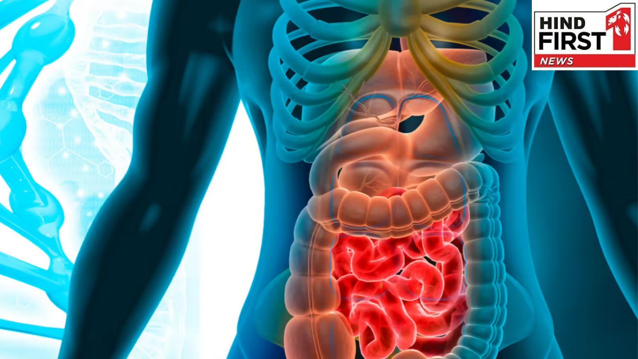Colorectal Cancer: मल में खून आने के लक्षणों को ना करें इग्नोर हो सकते हैं कोलोरेक्टल कैंसर के शुरूआती लक्षण Colorectal Cancer: मल में खून आने के लक्षणों को ना करें इग्नोर हो सकते हैं कोलोरेक्टल कैंसर के शुरूआती लक्षण